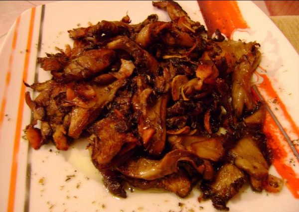 Μανιτάρια πλευρώτους (1 μονάδα)