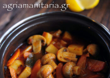 Μανιτάρια γιαχνί(2 μονάδες)